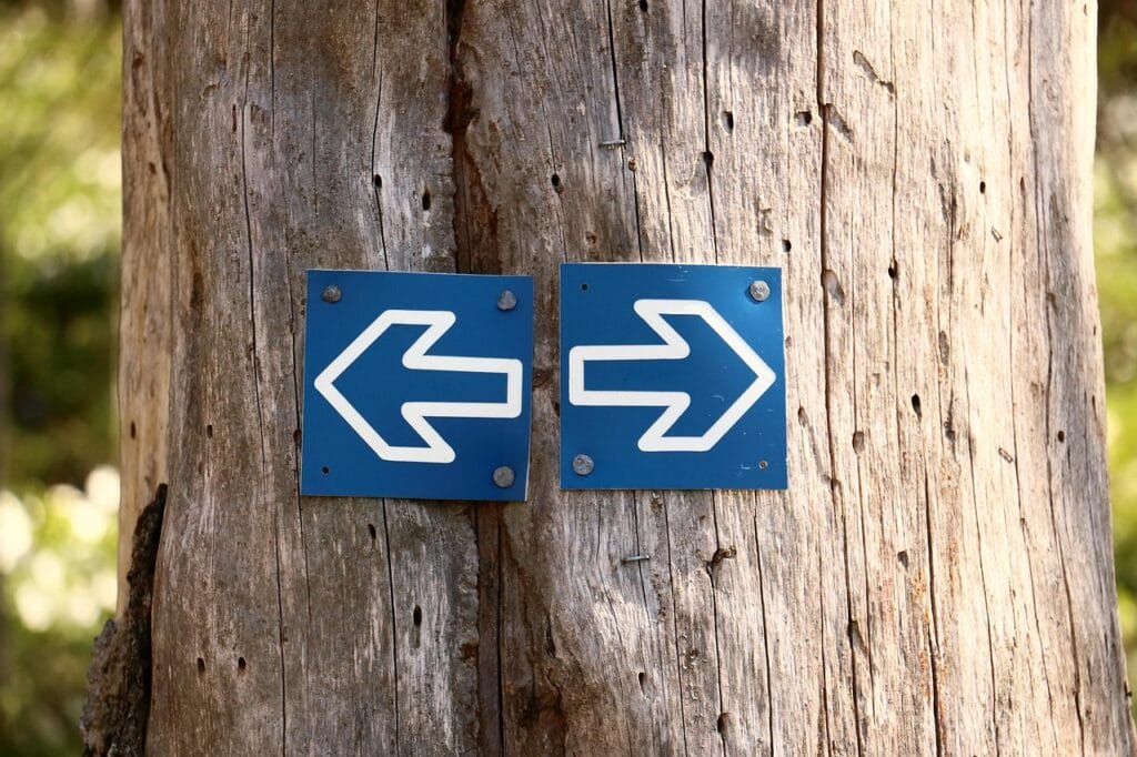 tree, tribe, forest, pillar, nature, brown, left, right, left, left, left, left, left, right, right
