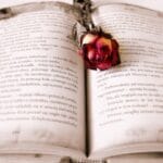 book, rose, book mark, open book, pages, rose flower, chapter, novel, read, literature, reading, bookworm, book, book, book, book, book, rose, rose, reading