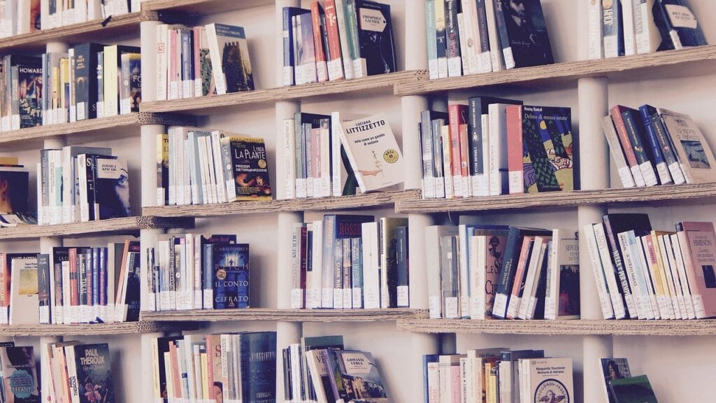 books, library, read, shelves, shelf, reading, culture, book, edition, books, books, books, books, books, library, library, book, book