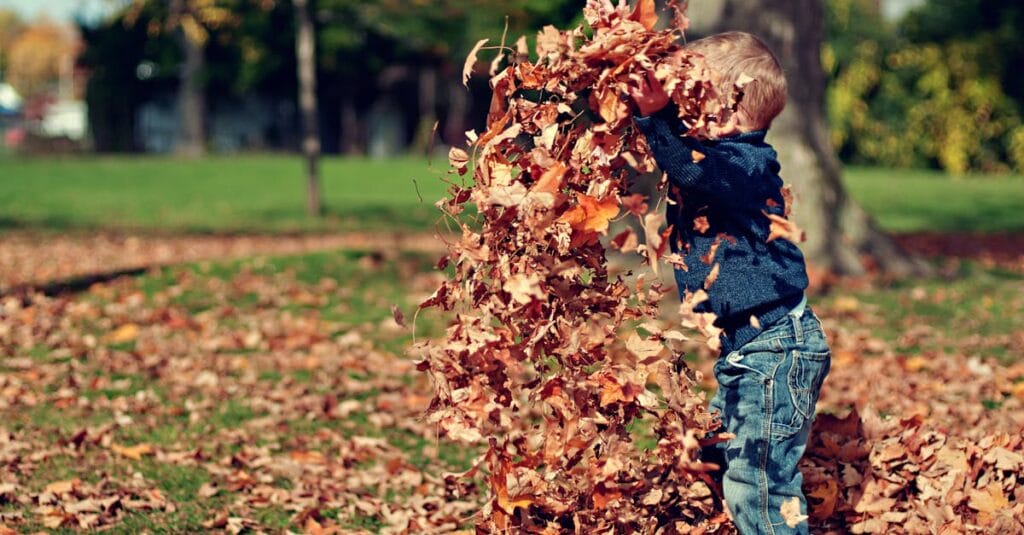 A young boy playing in a pile of colorful autumn leaves outdoors.