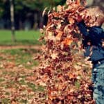 A young boy playing in a pile of colorful autumn leaves outdoors.