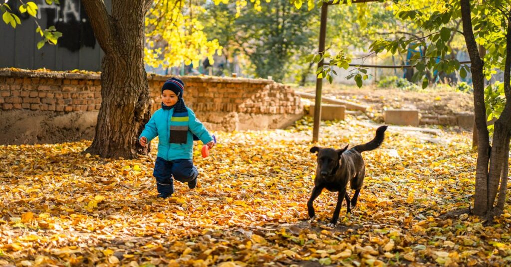Little boy and dog playing among autumn leaves in a sunny yard, capturing friendship and fun.