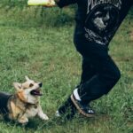 A teenager plays with a happy corgi in a lush green yard, capturing the joy of pet and owner bonding outdoors.
