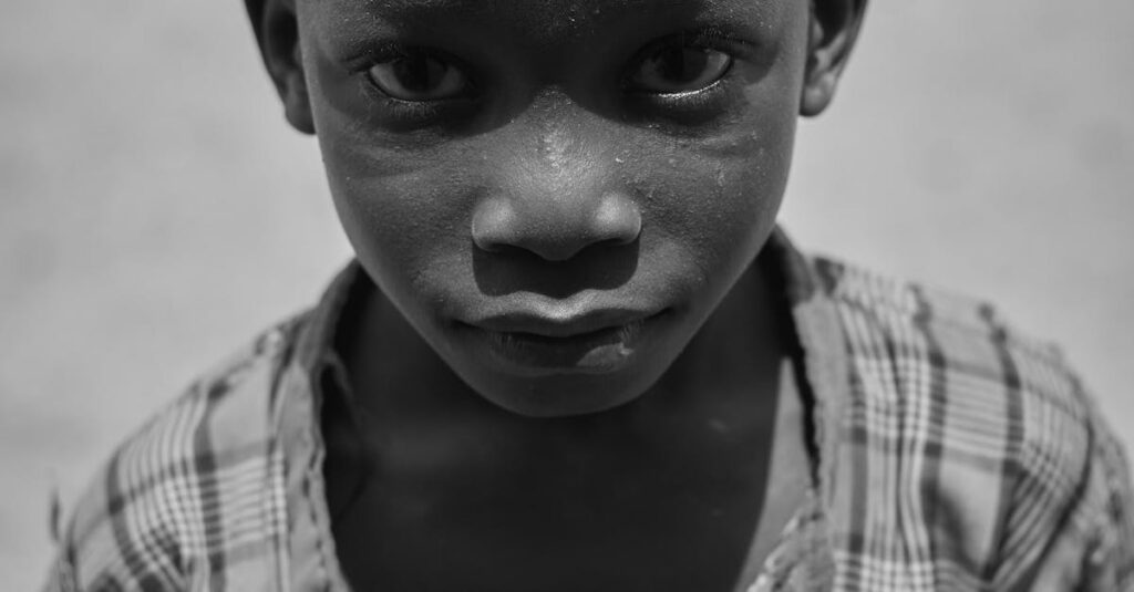 Free stock photo of african adventure