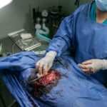 surgery, vet, operation, veterinary, hospital, pet, mascot, patient, clinic, dog, medicine, health, tumor, animal, cancer
